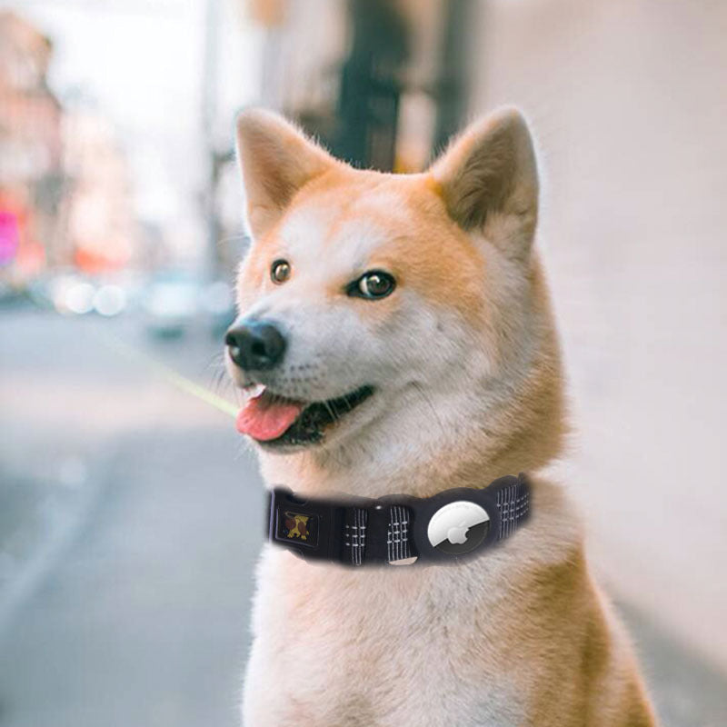 Pet Airtag Collar